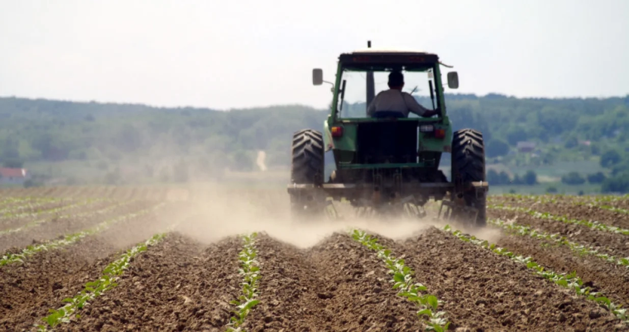 PROPAST DOMAĆE PROIZVODNJE Pad proizvodnje kukuruza za 15,4 posto, krumpira za 16 posto, jabuka za 17,9 posto, šljiva za 54,1 posto…